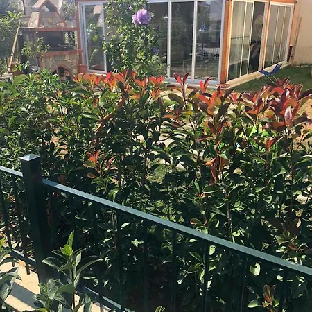 Ξενοδοχείο με διαμερίσματα Greencity *