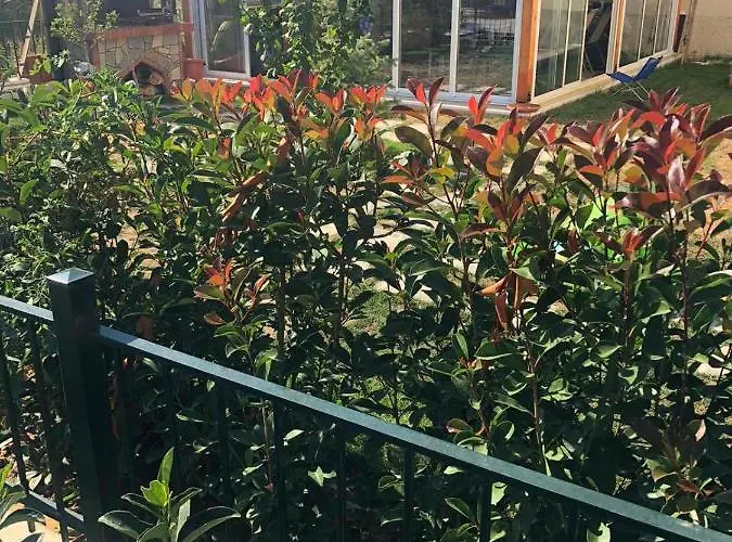 Ξενοδοχείο με διαμερίσματα Greencity 4*